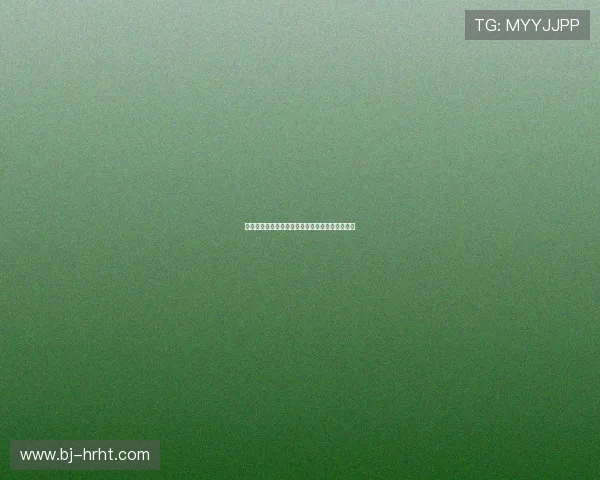 霍芬海姆崛起记：德甲黑马如何突破瓶颈成就辉煌